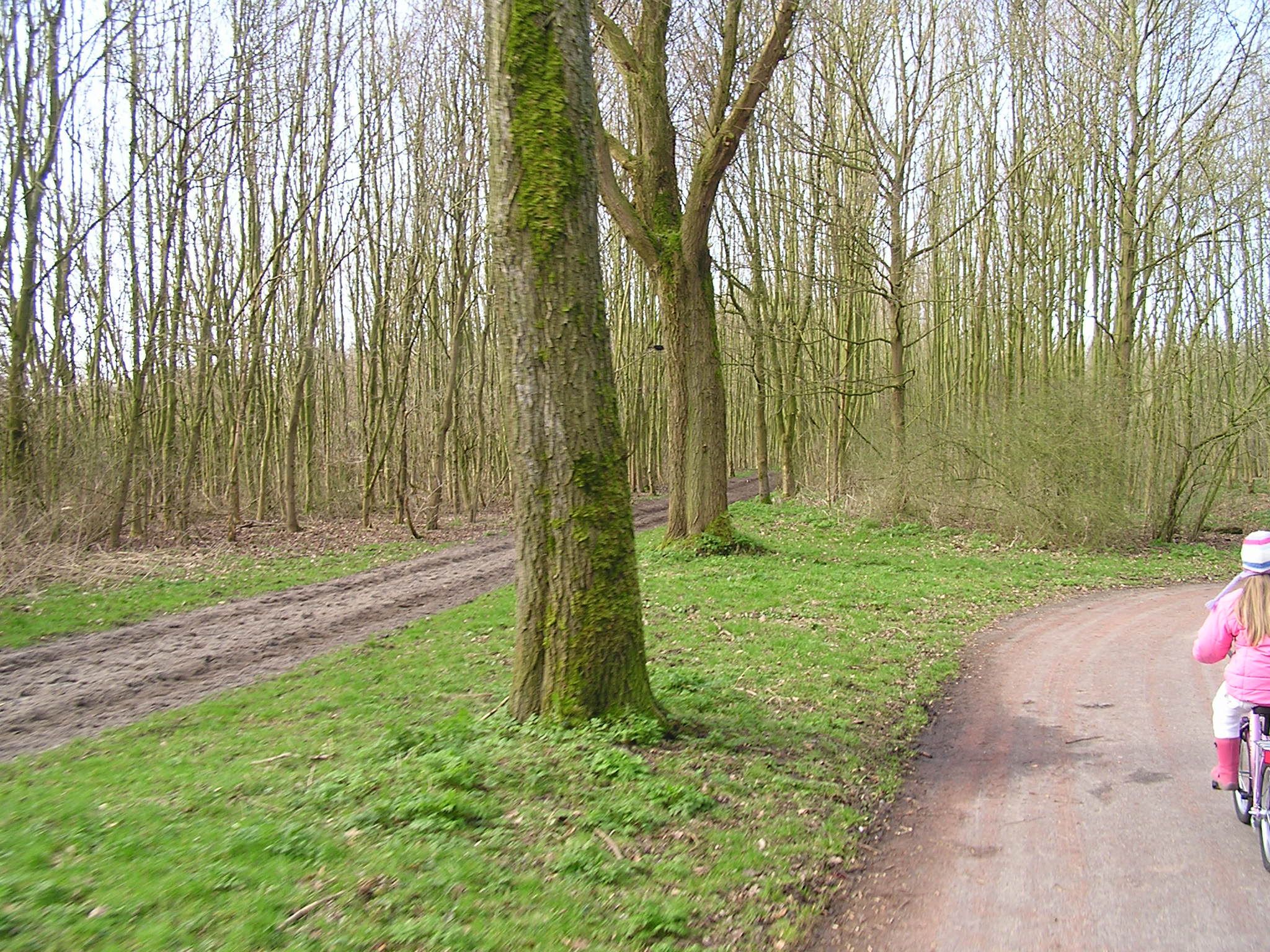 P1140034.JPG