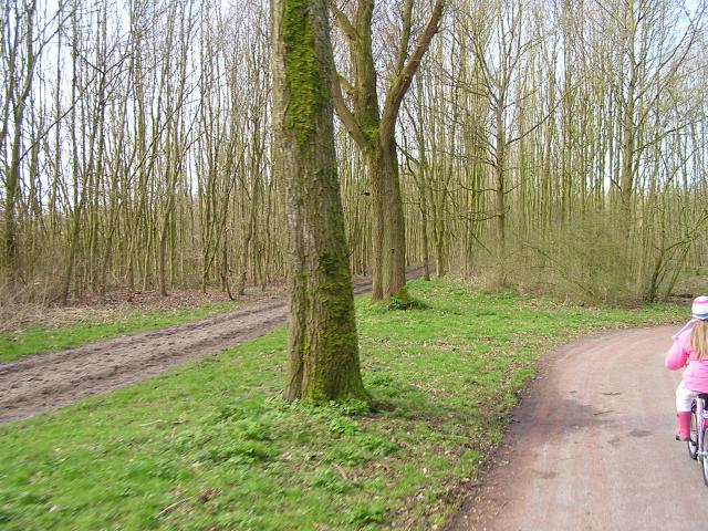 P1140034.JPG