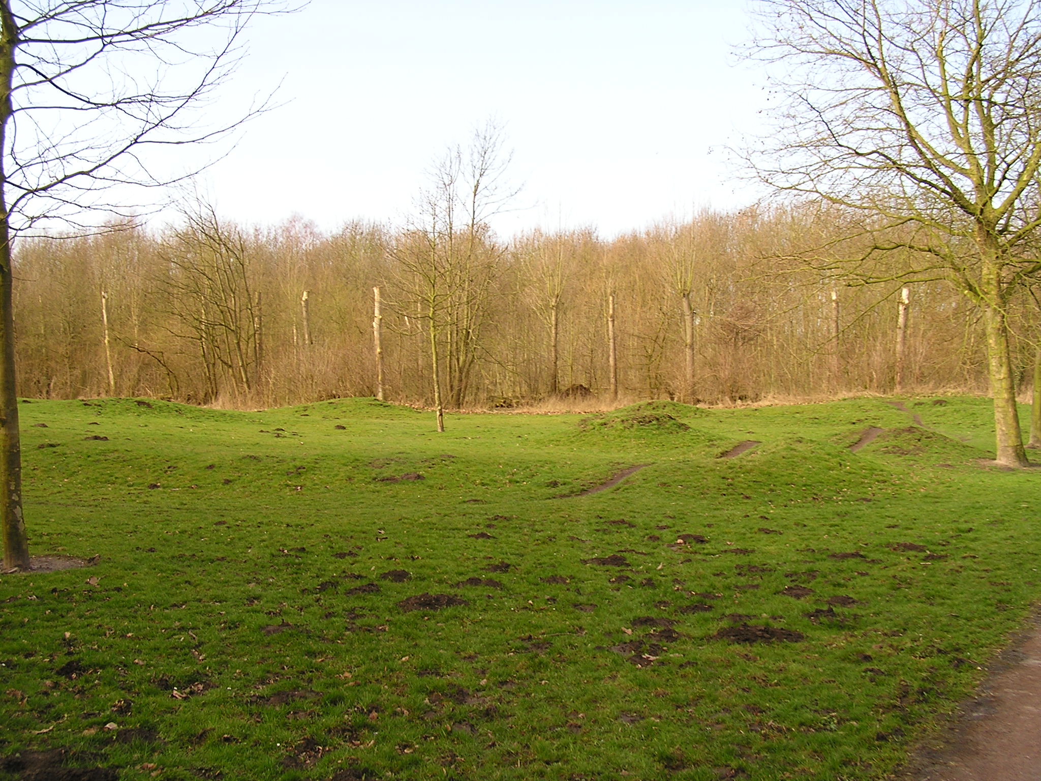 P1140037.JPG