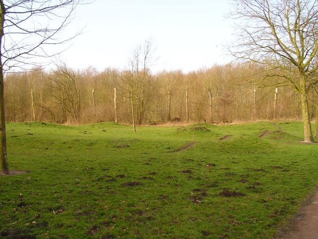 P1140037.JPG