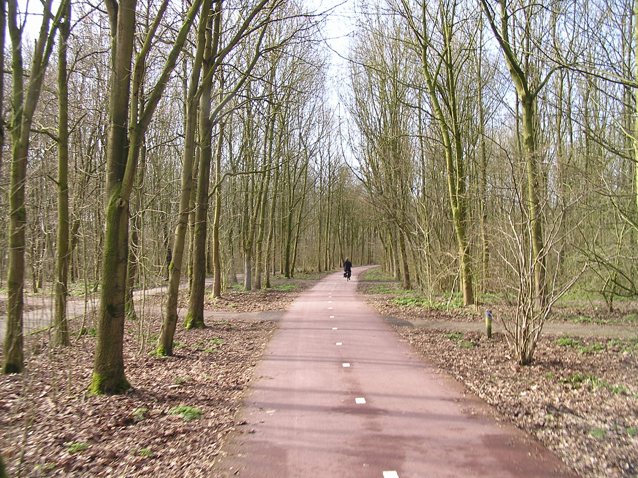 P1140040.JPG