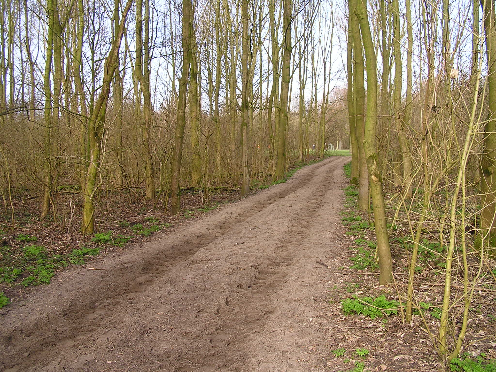 P1140041.JPG