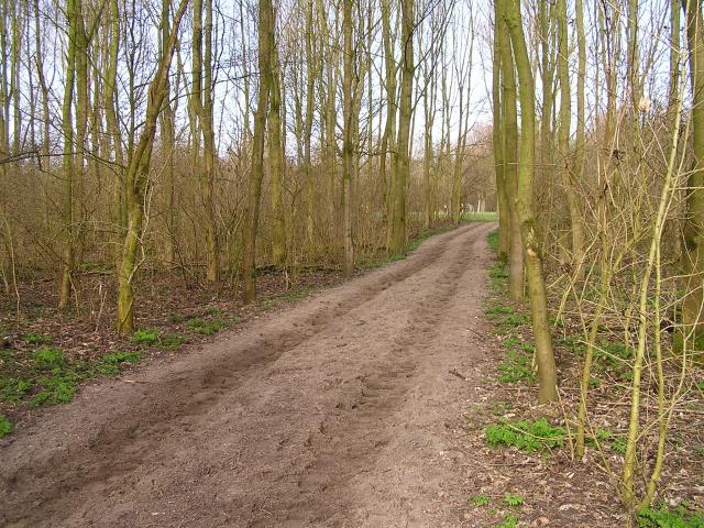 P1140041.JPG