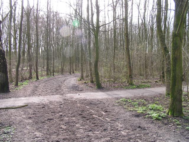P1140042.JPG