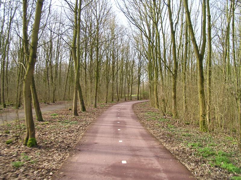 P1140043.JPG