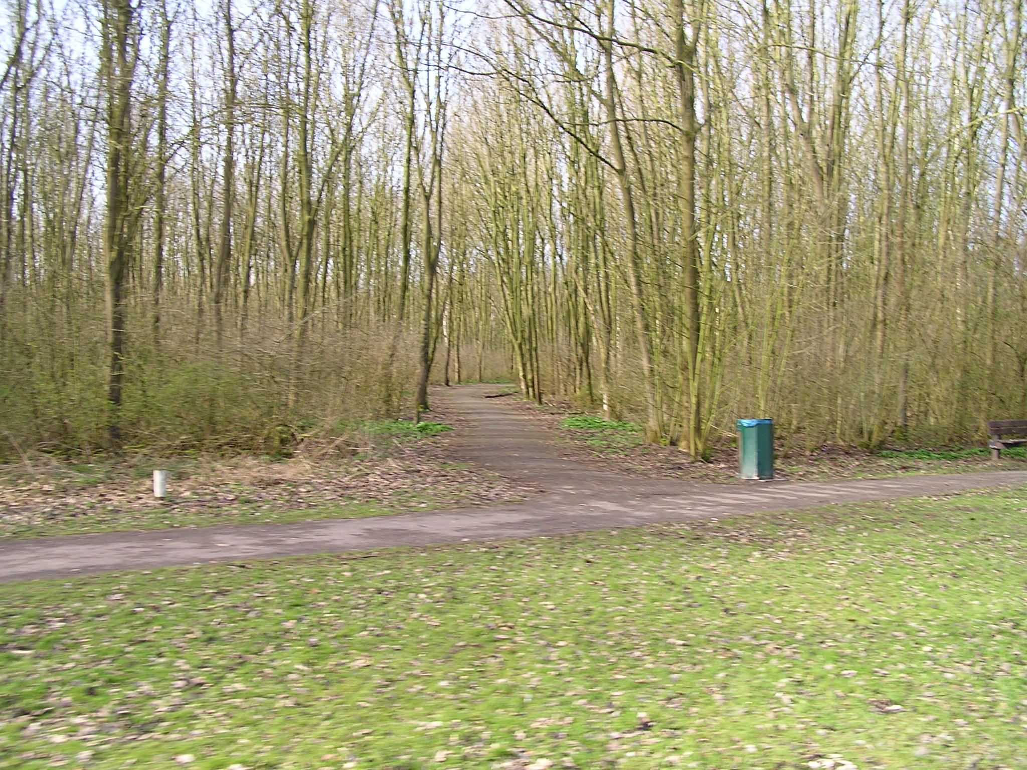P1140048.JPG