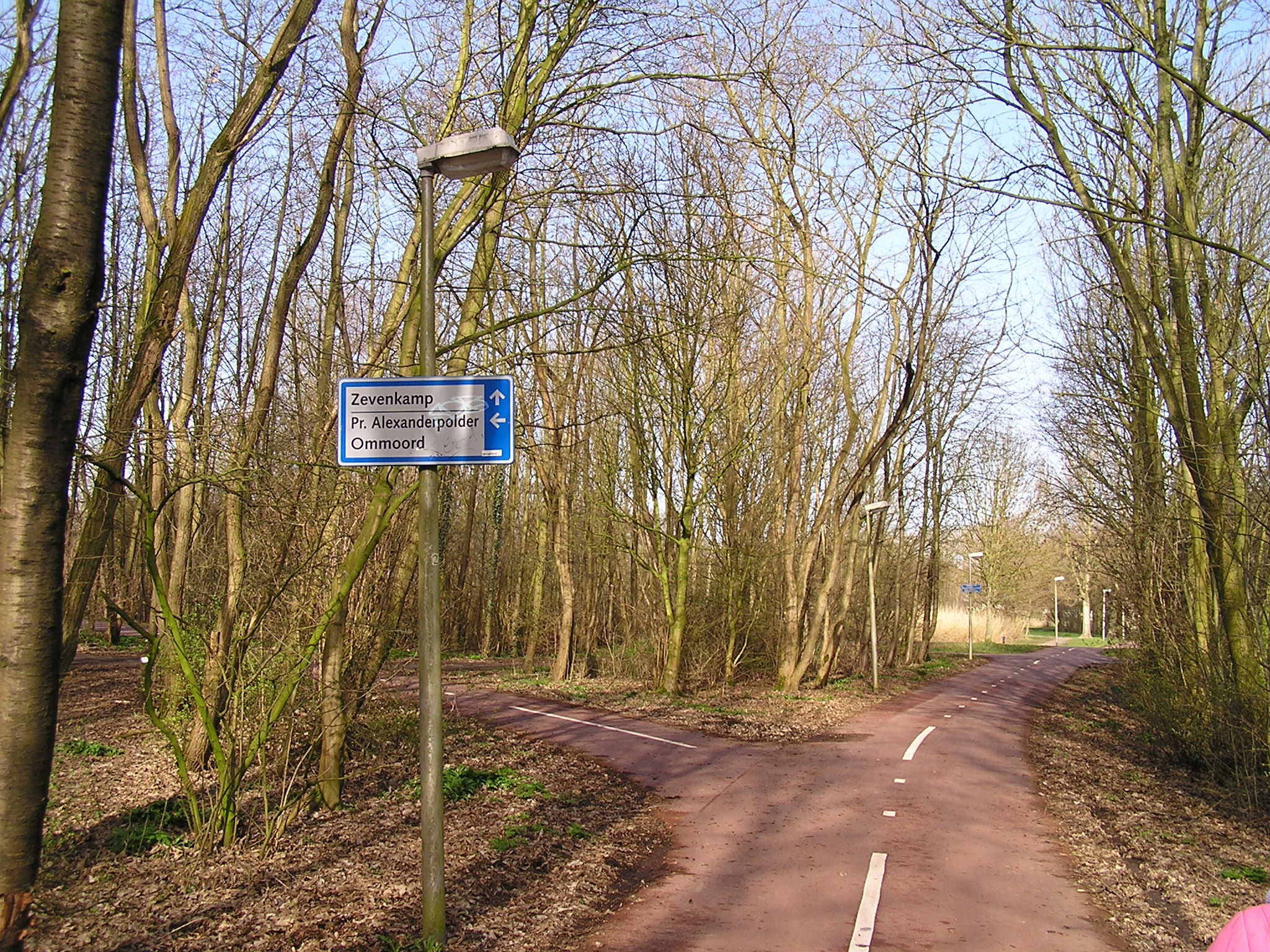 P1140051.JPG