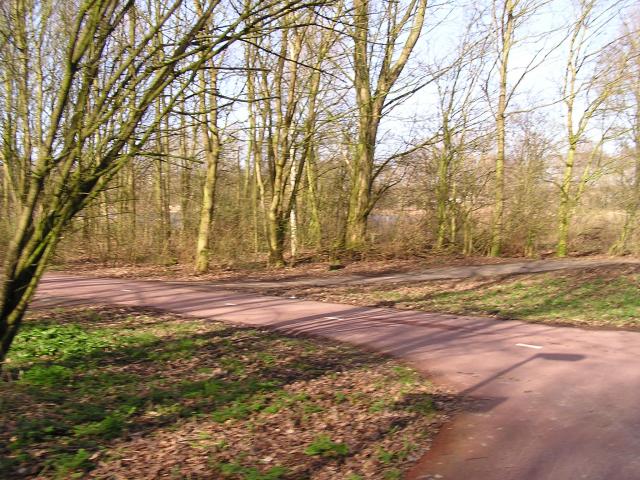 P1140052.JPG