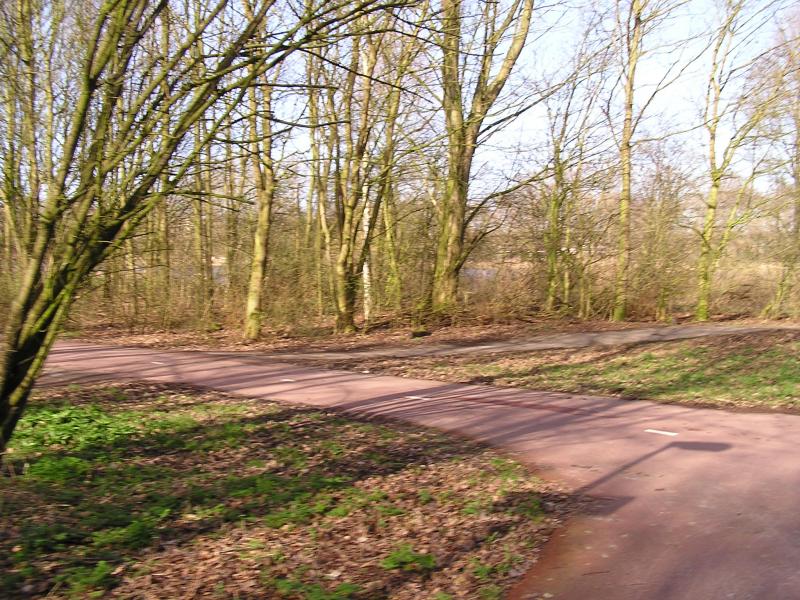 P1140052.JPG