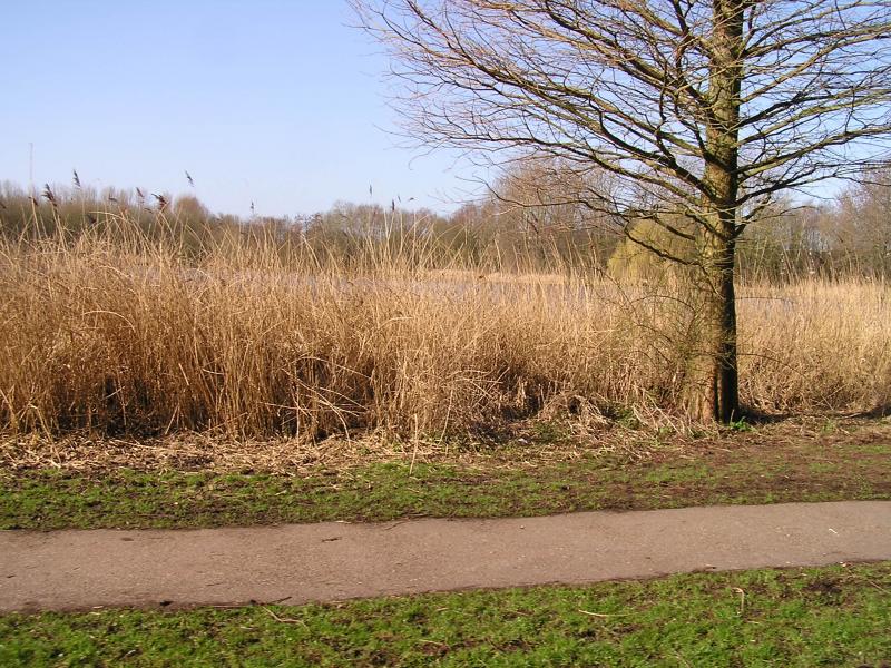 P1140053.JPG