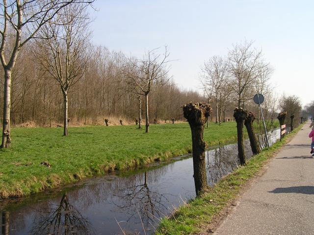 P1010005.JPG
