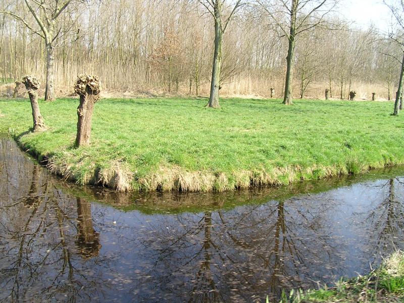 P1010007.JPG