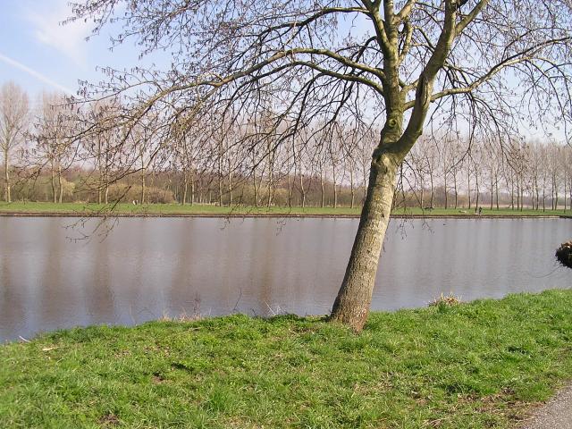 P1010012.JPG