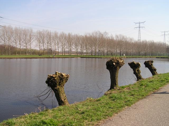 P1010013.JPG