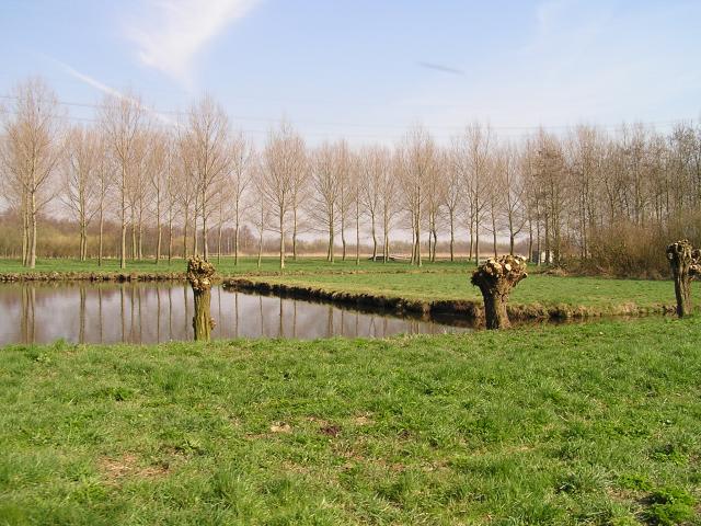 P1010015.JPG