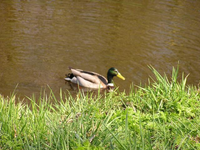 P1010021.JPG