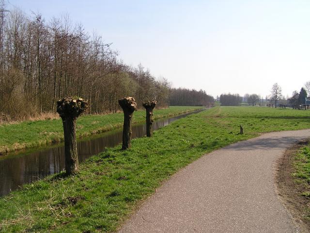 P1010022.JPG