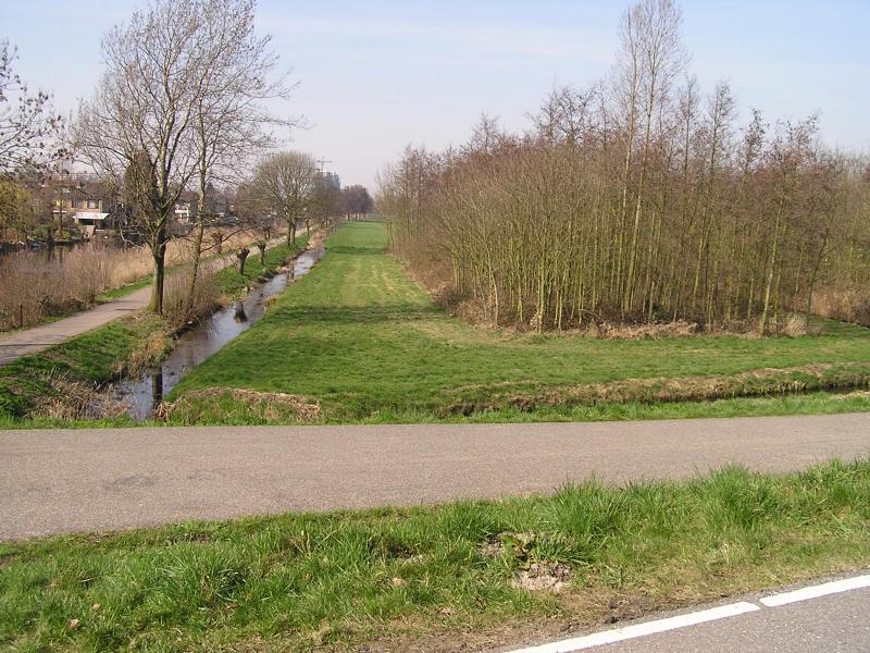 P1010026.JPG