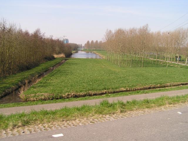 P1010031.JPG