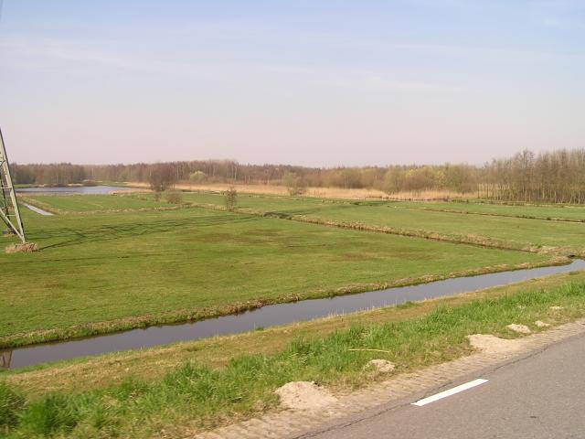 P1010034.JPG