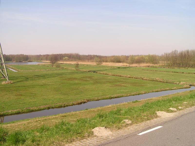 P1010034.JPG