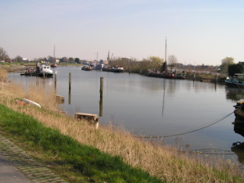 P1010037.JPG