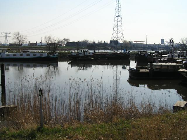 P1010038.JPG