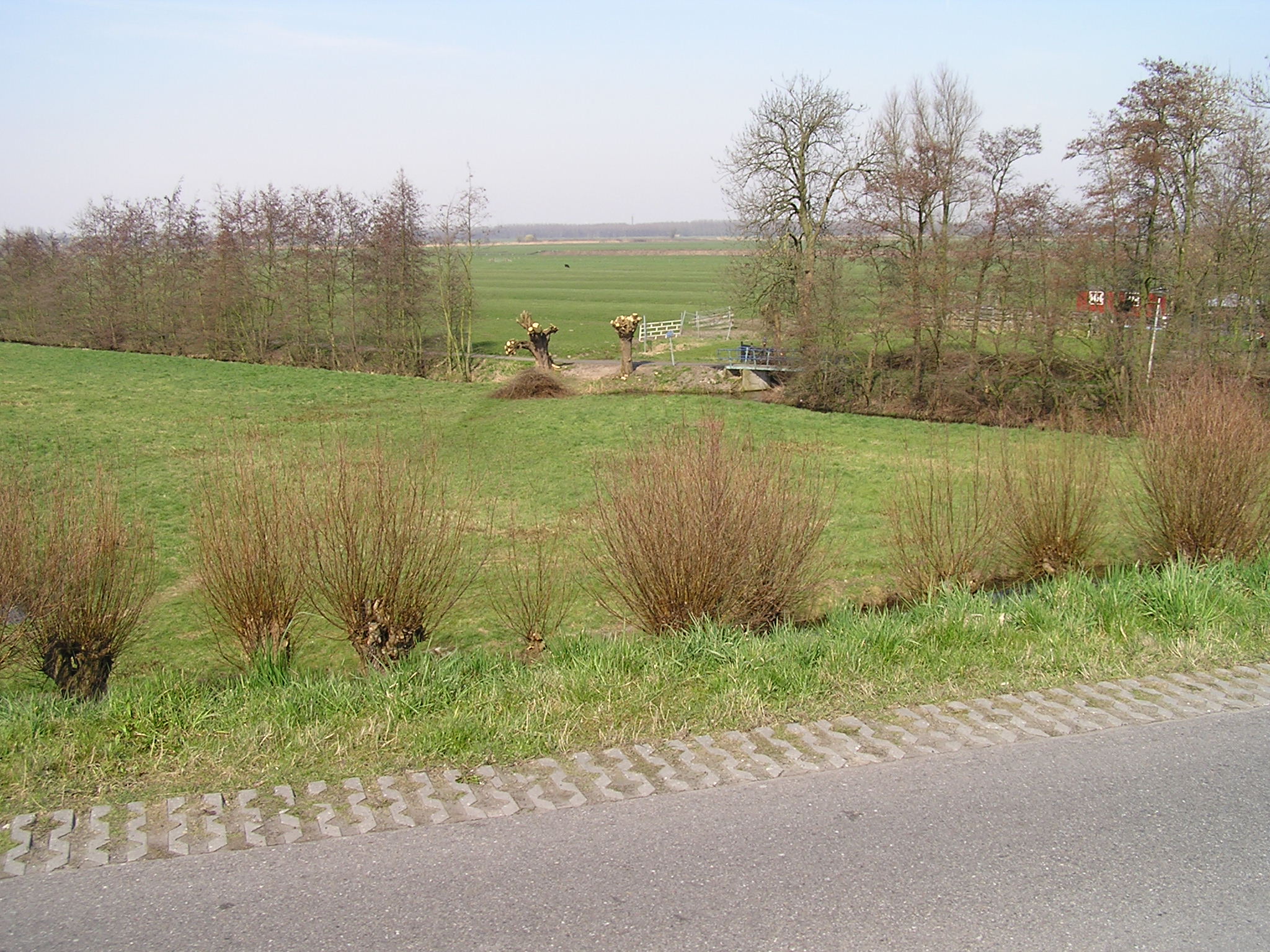 P1010039.JPG