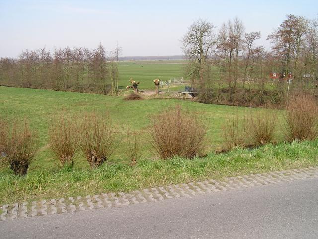 P1010039.JPG