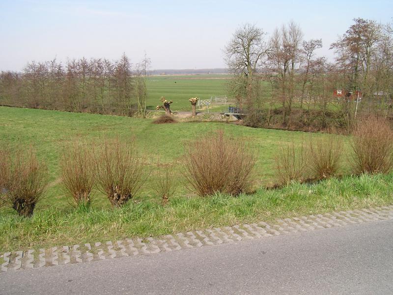 P1010039.JPG