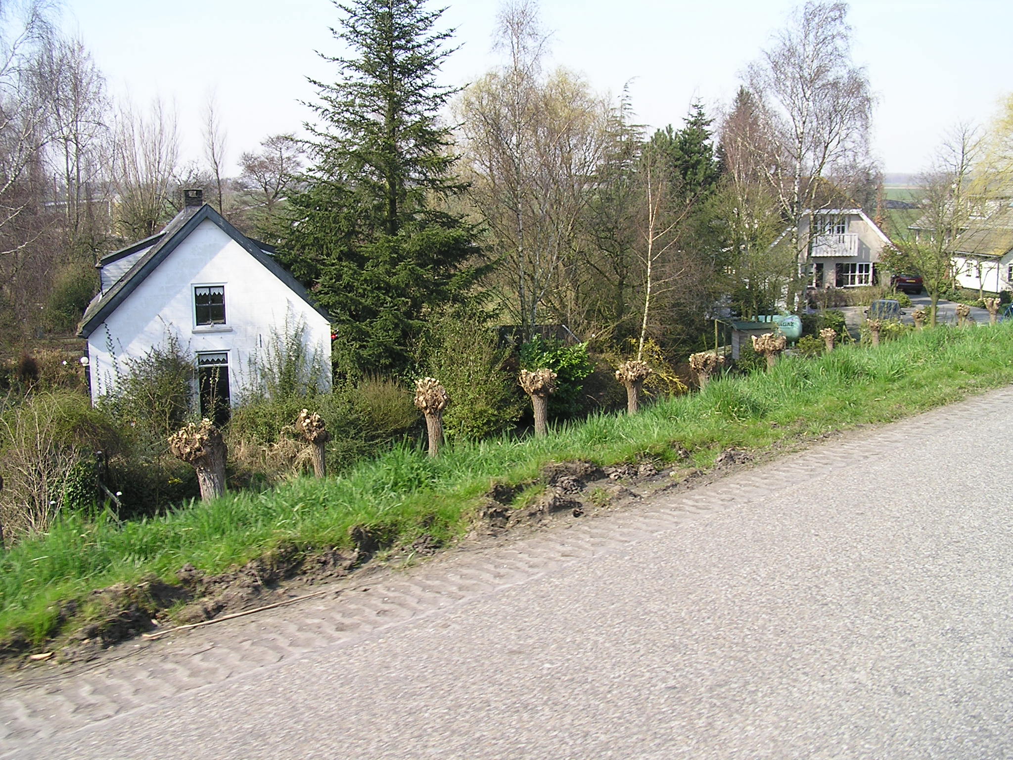 P1010049.JPG