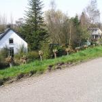 P1010049.JPG