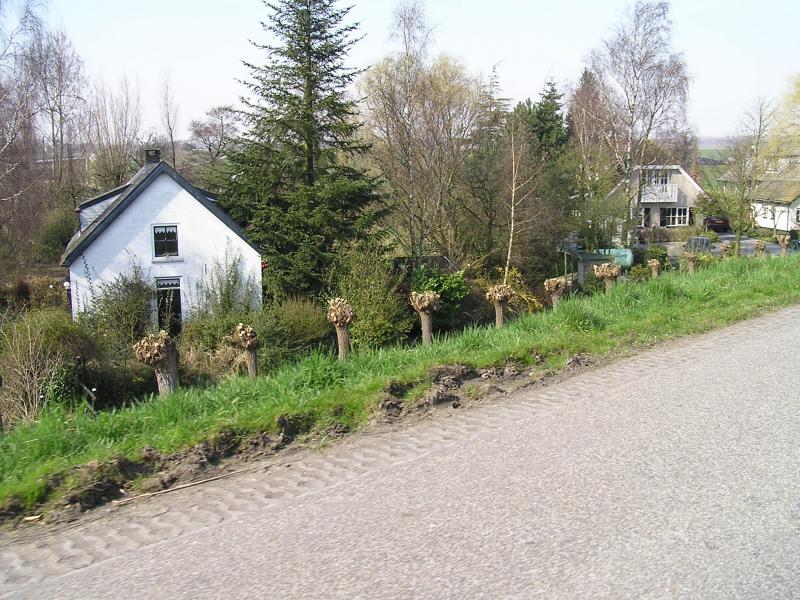 P1010049.JPG