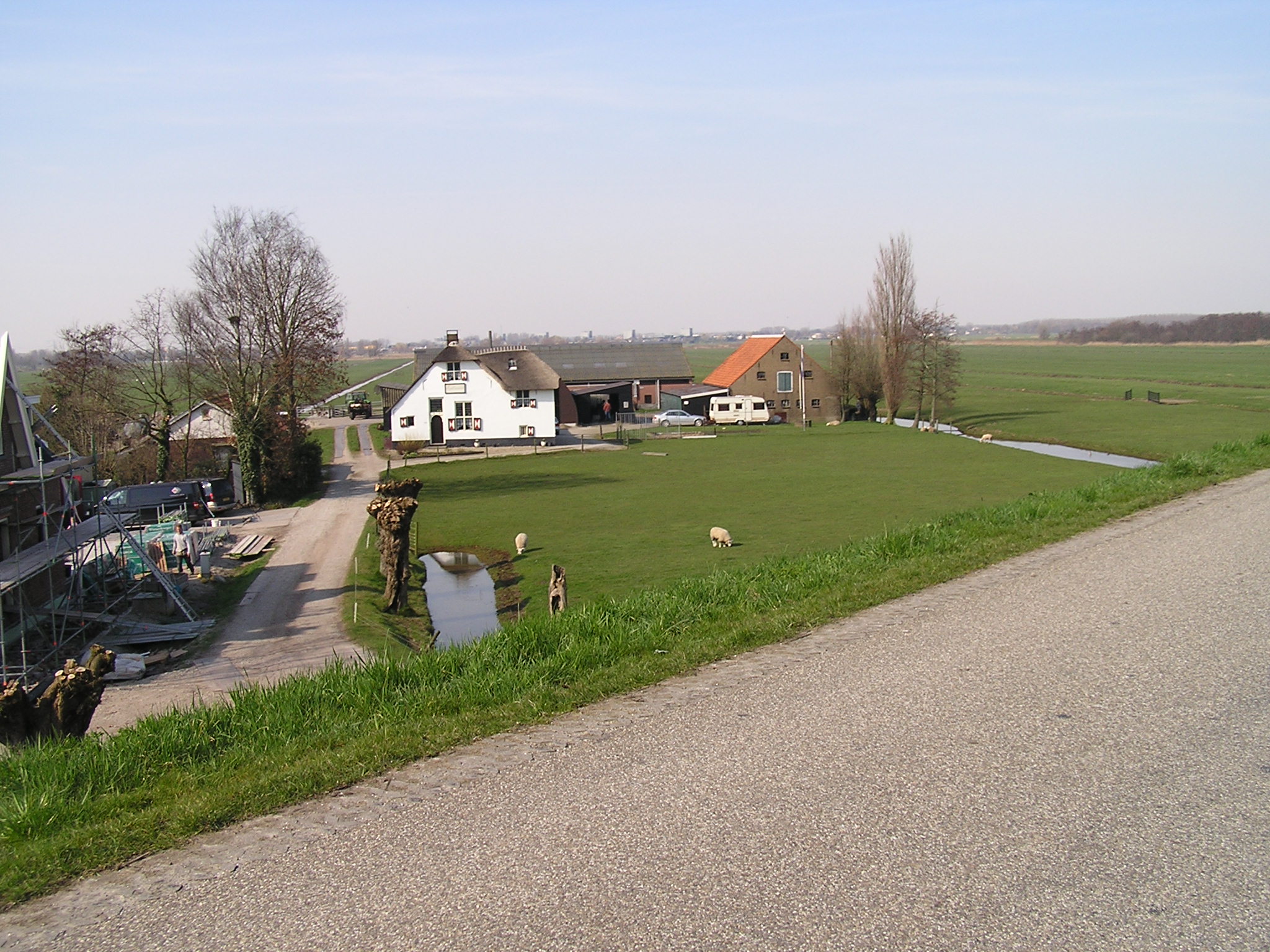 P1010052.JPG