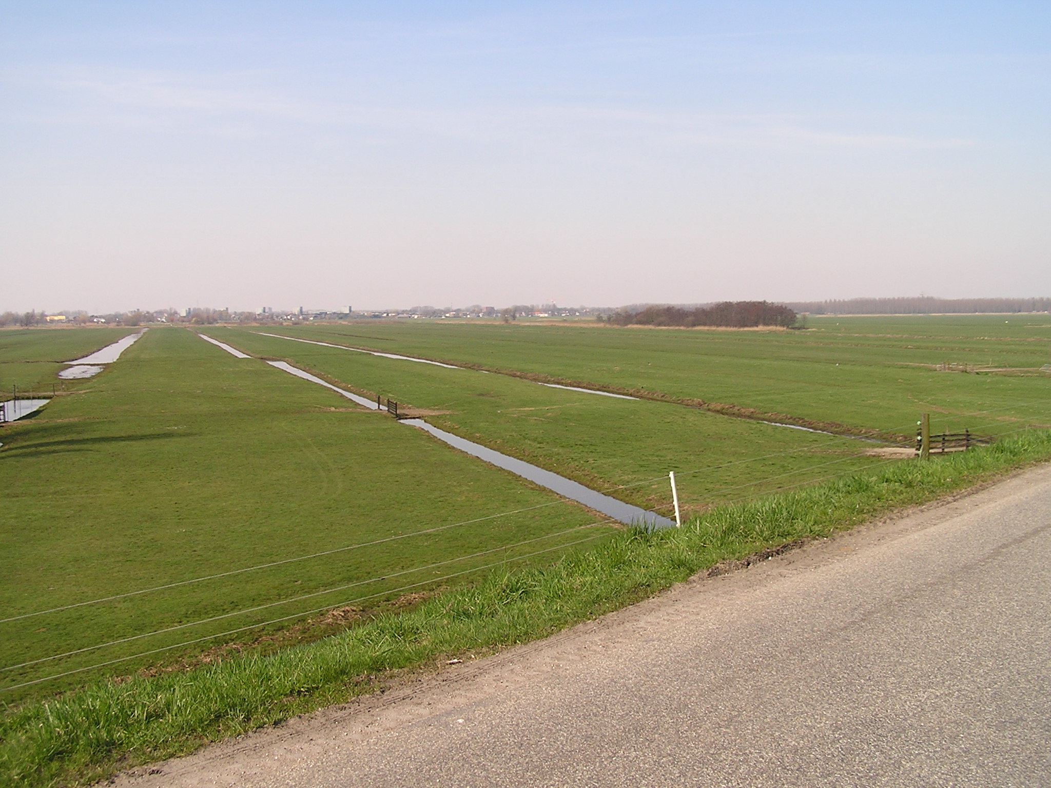 P1010053.JPG