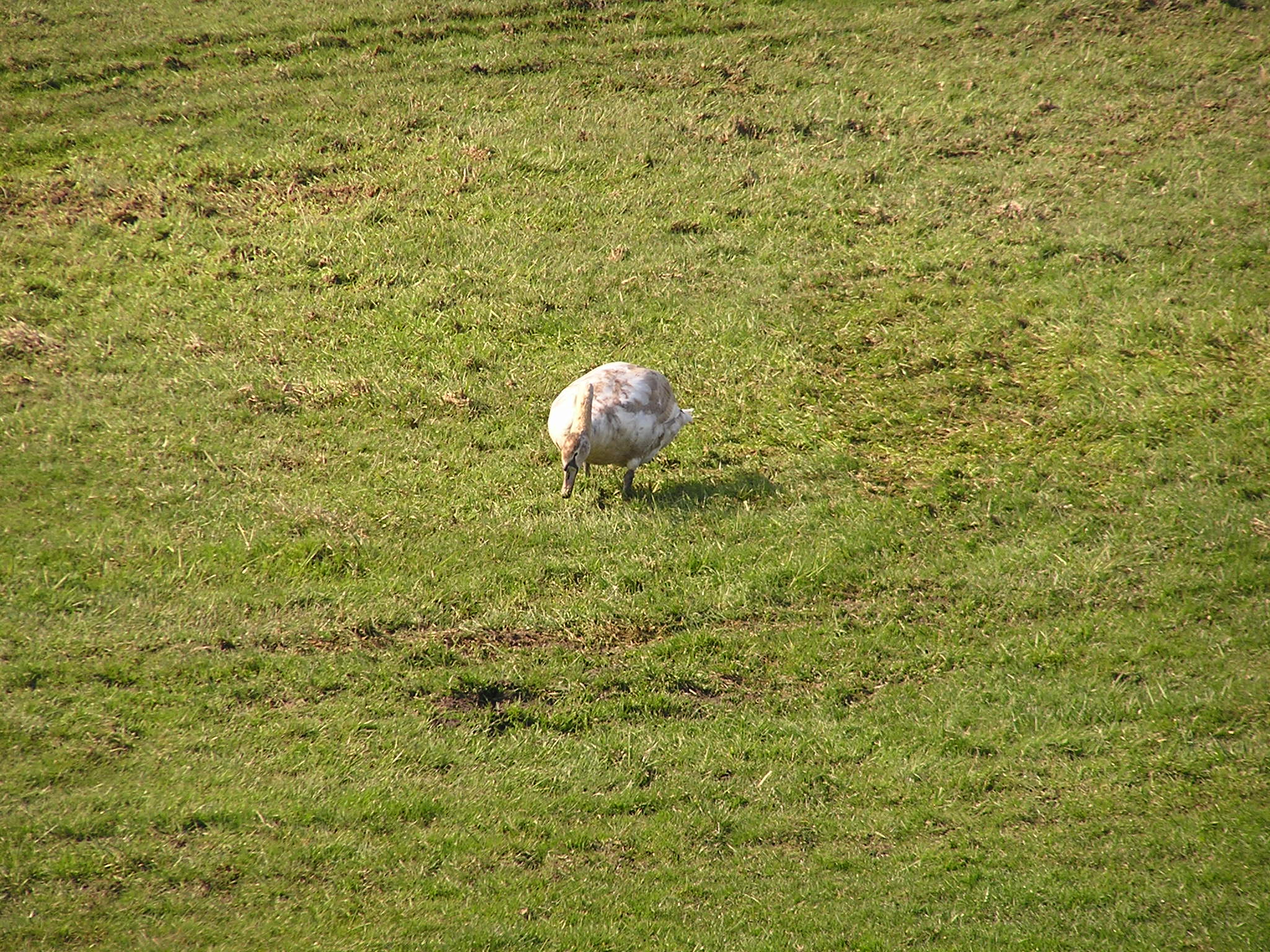 P1010059.JPG