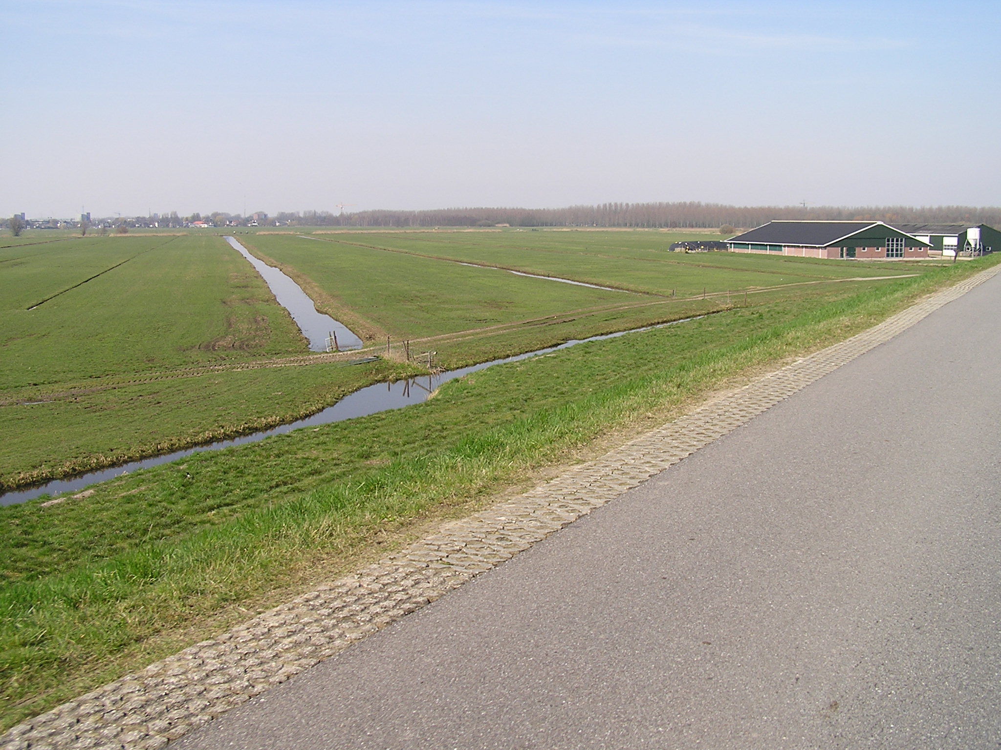 P1010069.JPG