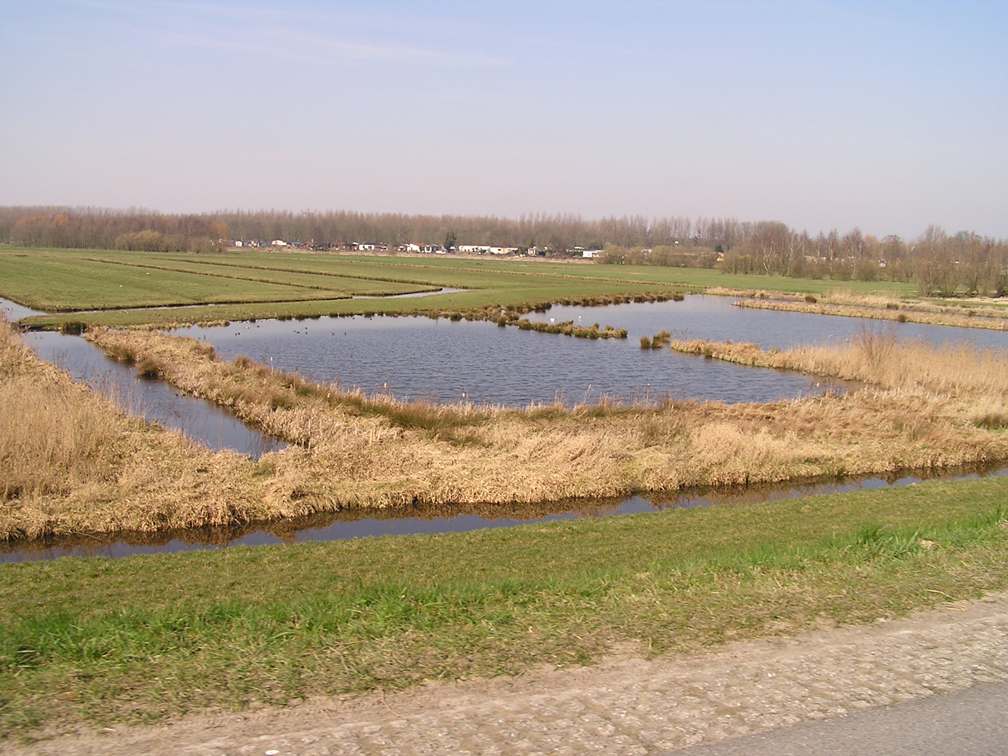P1010072.JPG