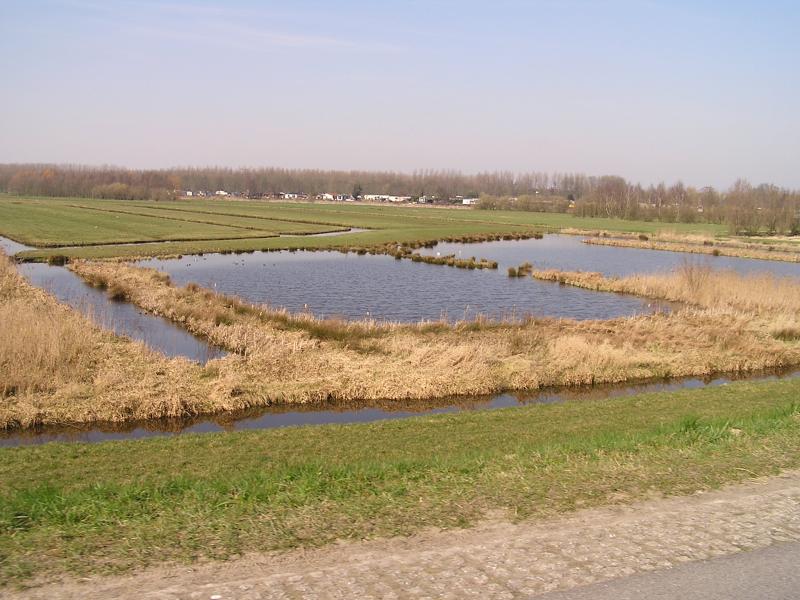 P1010072.JPG