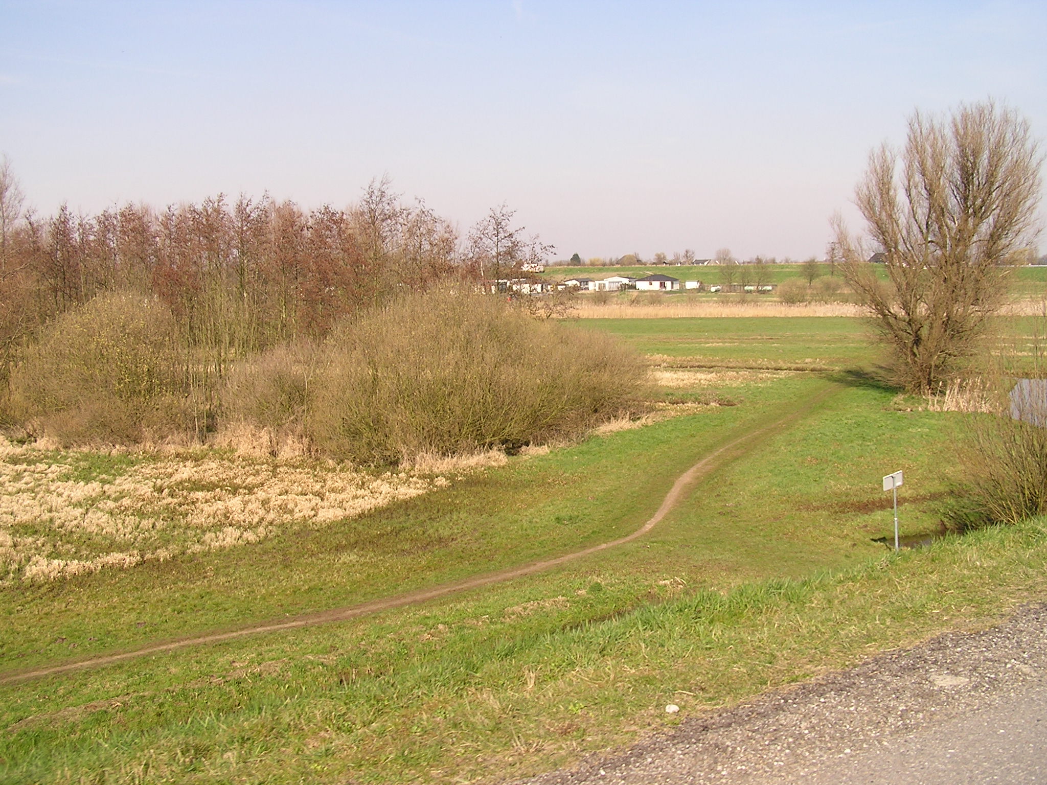 P1010073.JPG