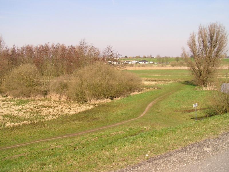 P1010073.JPG