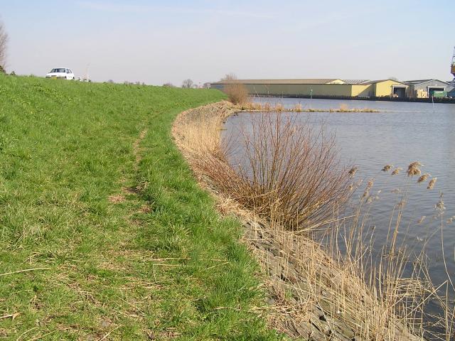 P1010075.JPG