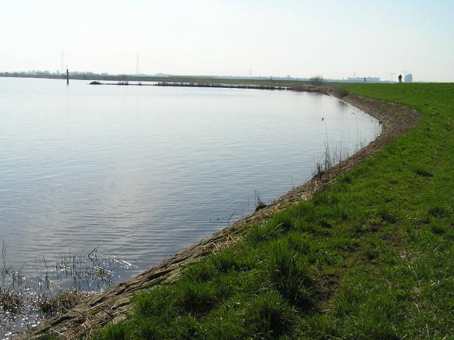 P1010078.JPG