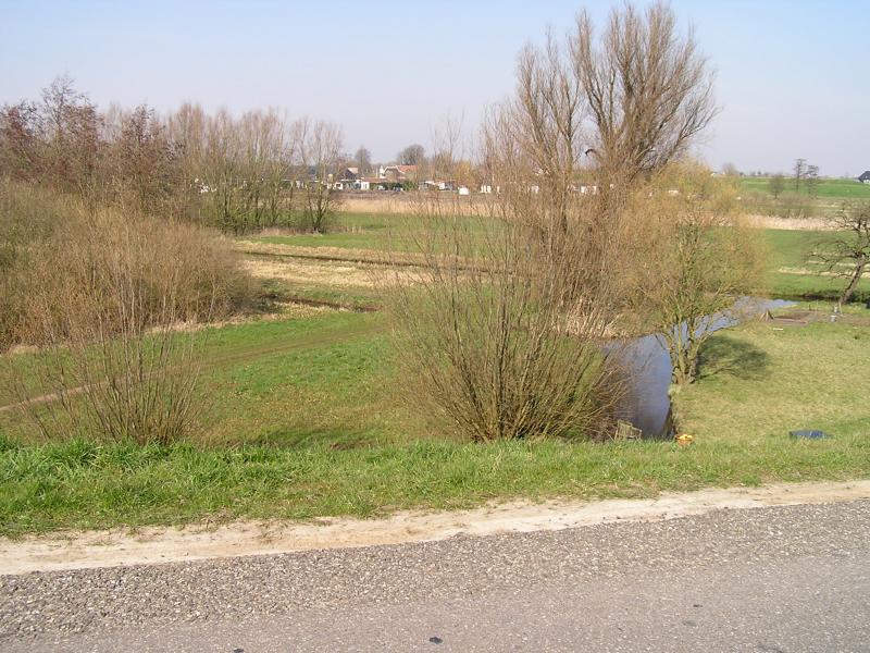 P1010082.JPG