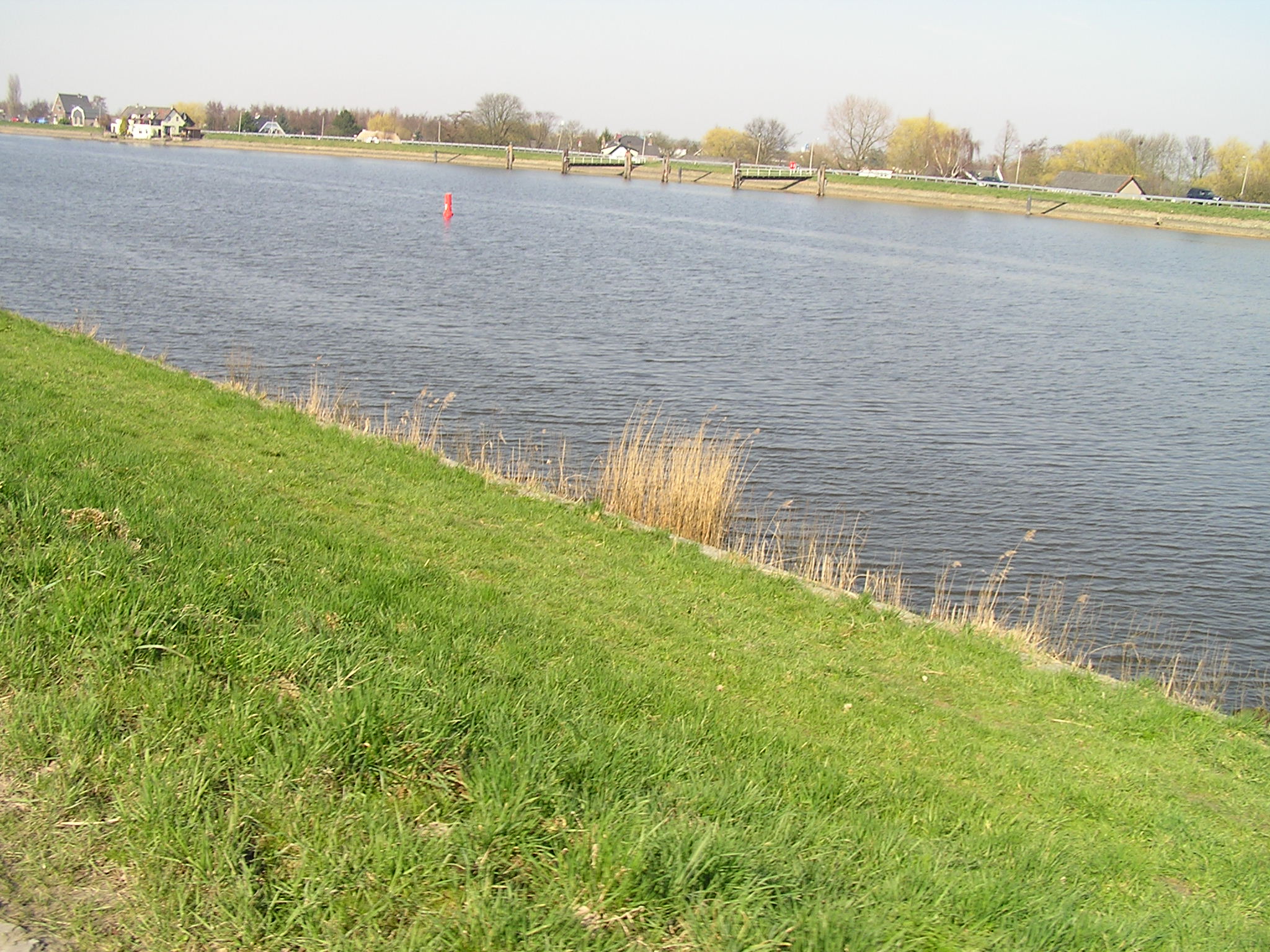 P1010090.JPG