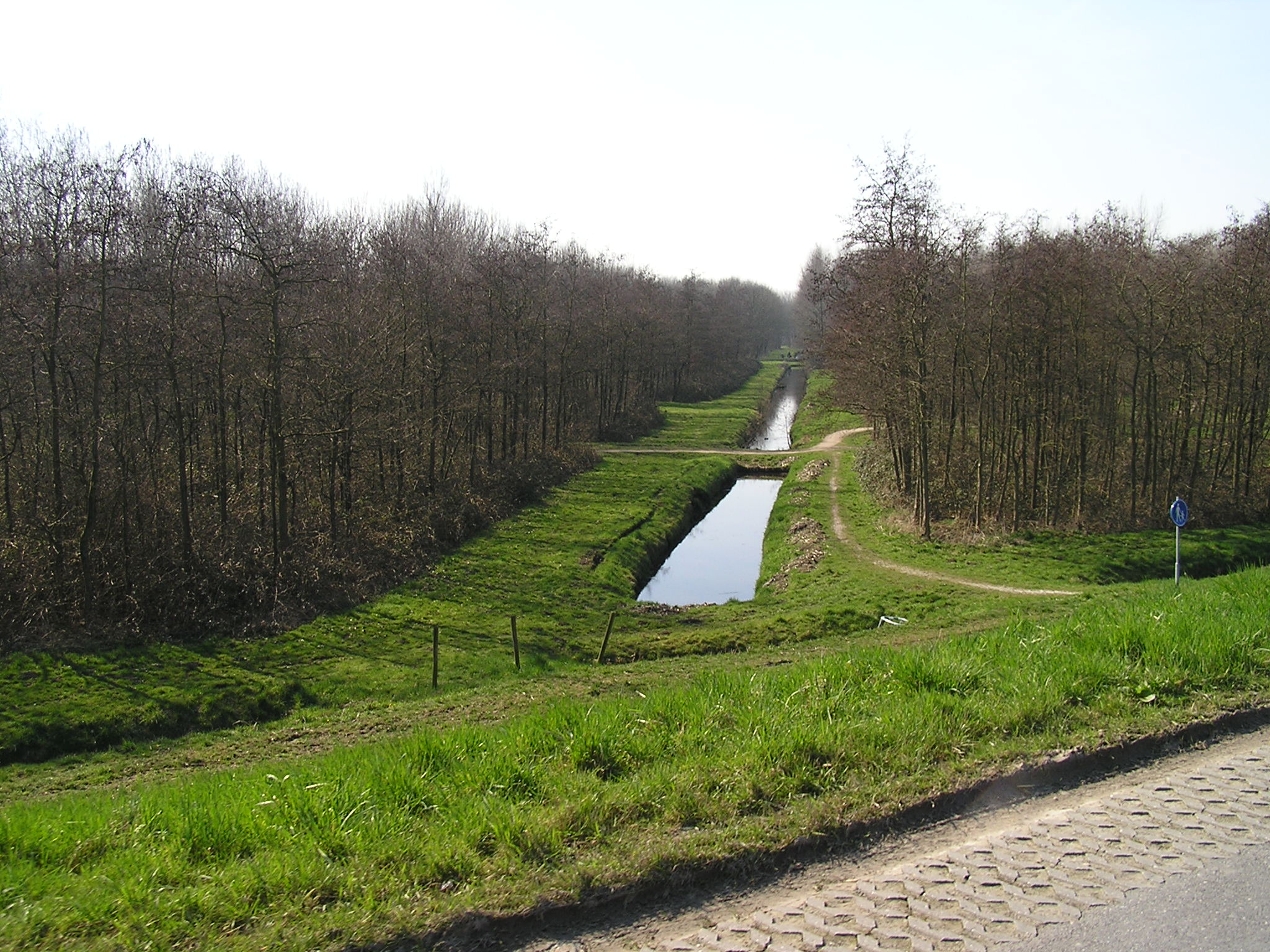 P1010093.JPG