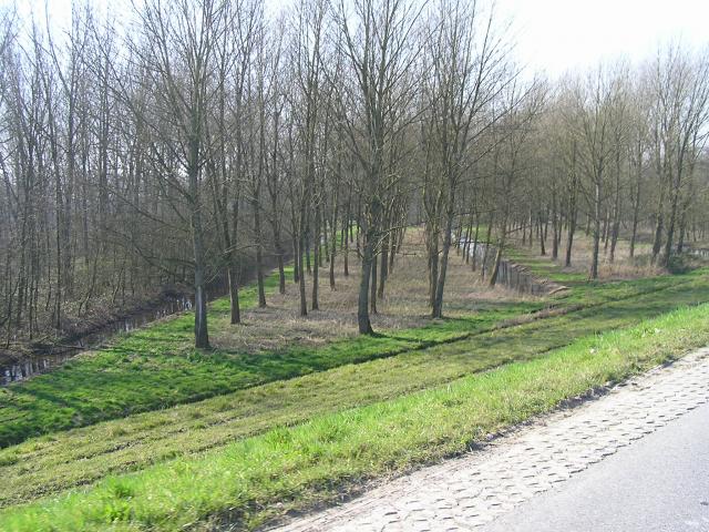 P1010098.JPG