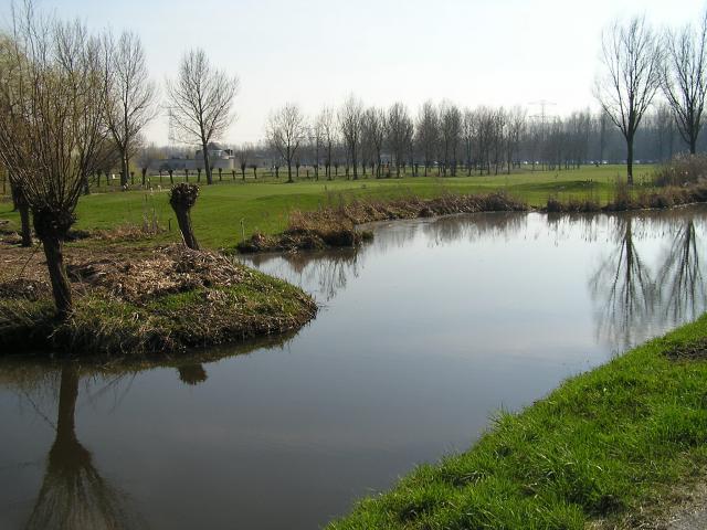 P1010138.JPG