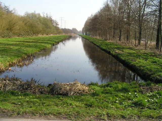 P1010145.JPG