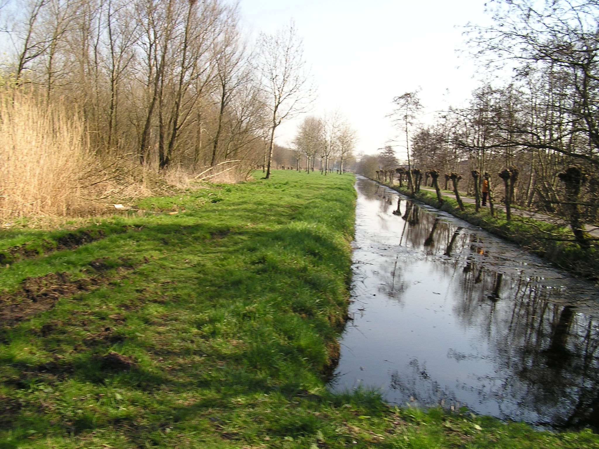 P1010146.JPG